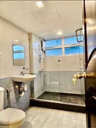 Lakeview Estate (D20), Apartment #623348171